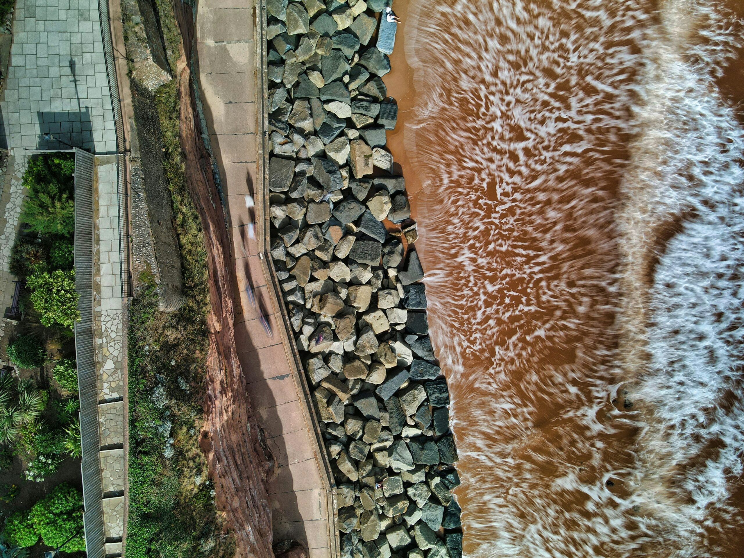 Before-and-after photos showcasing successful mold removal projects