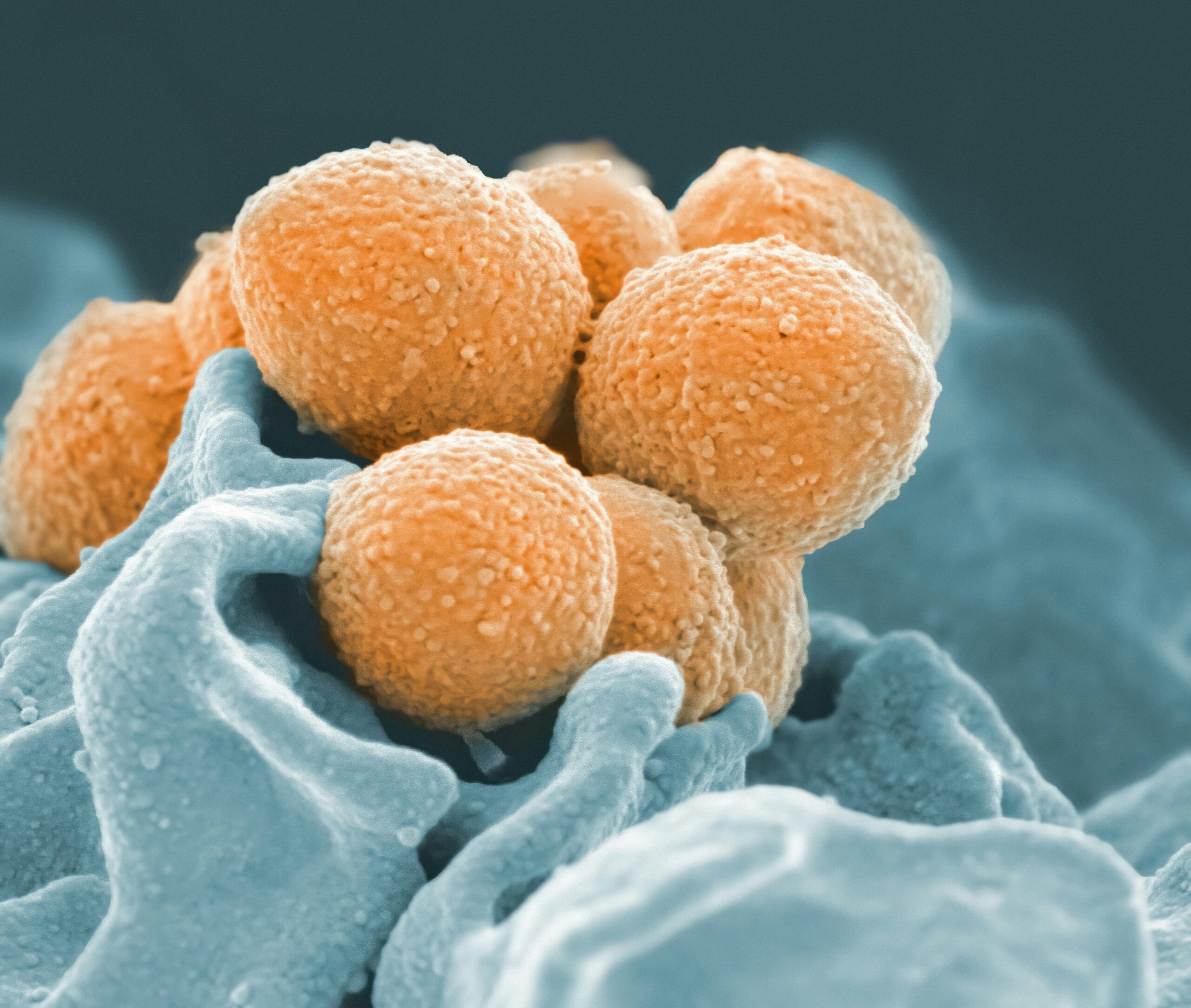 Chart showing common health symptoms caused by mold exposure