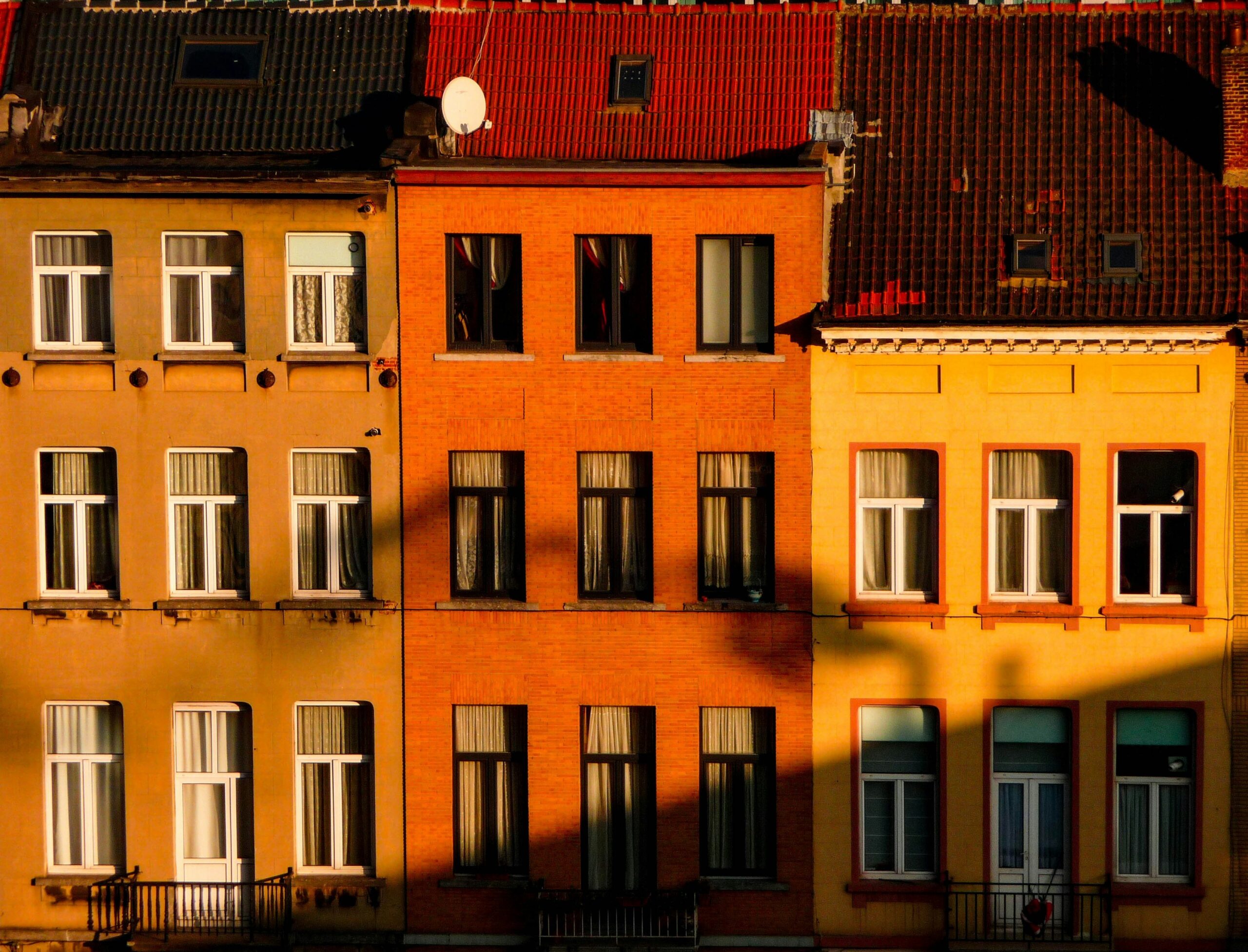 Flowchart explaining how to evaluate different mold coverage options in insurance policies