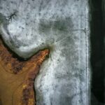 mold damage inspection
