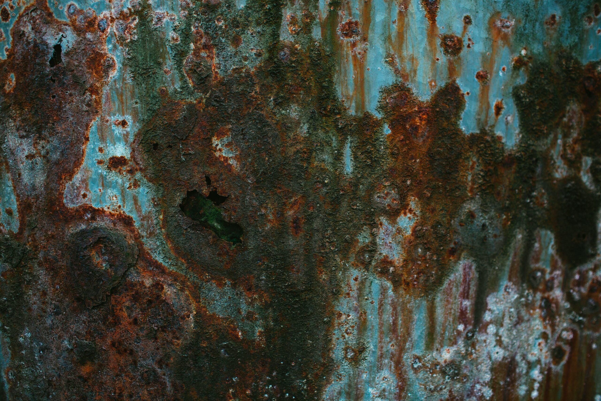 Image showing visible black mold growth on a damp wall