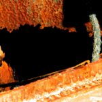mold inspection