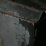 mold inspection