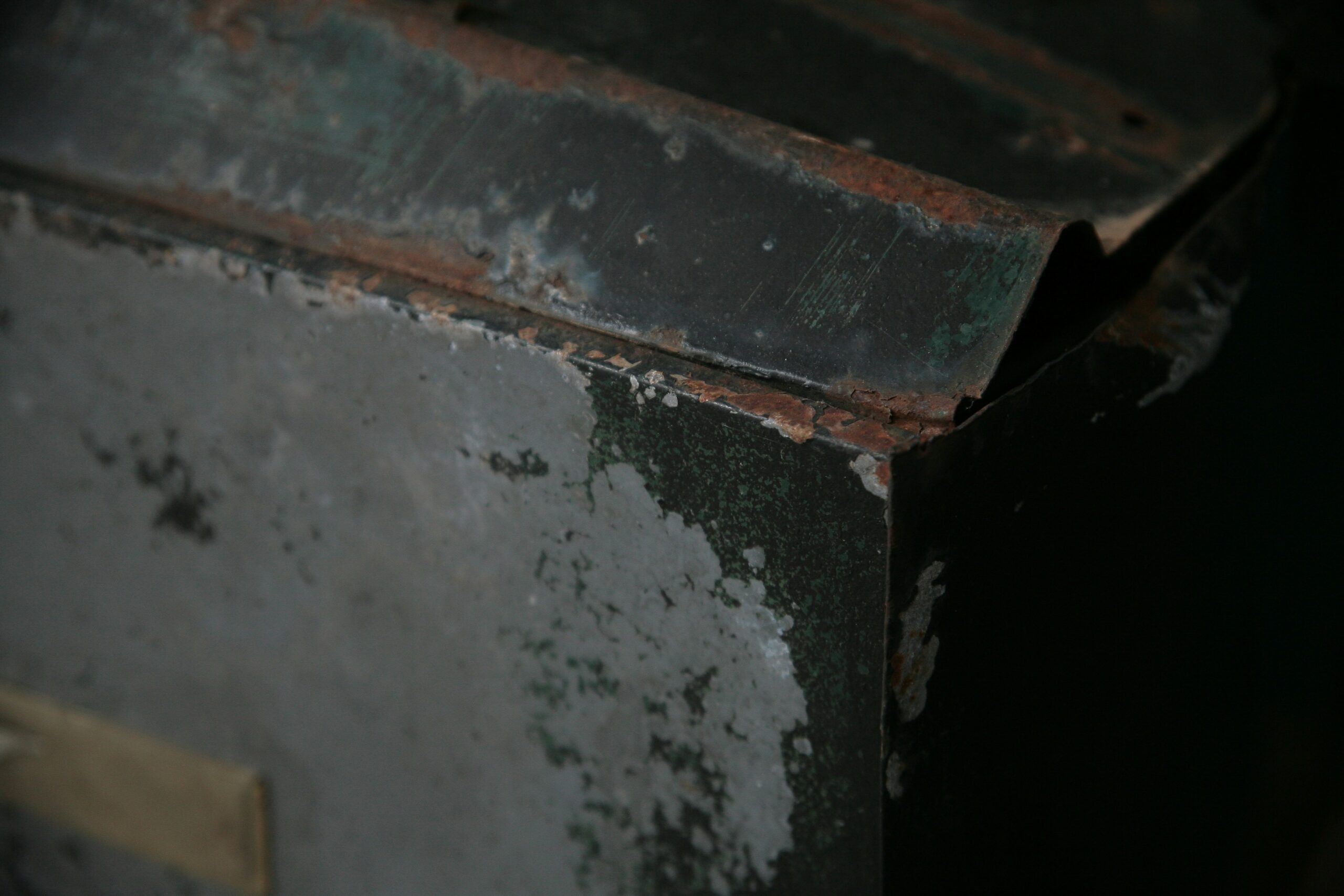 mold inspection