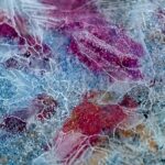 mold inspection