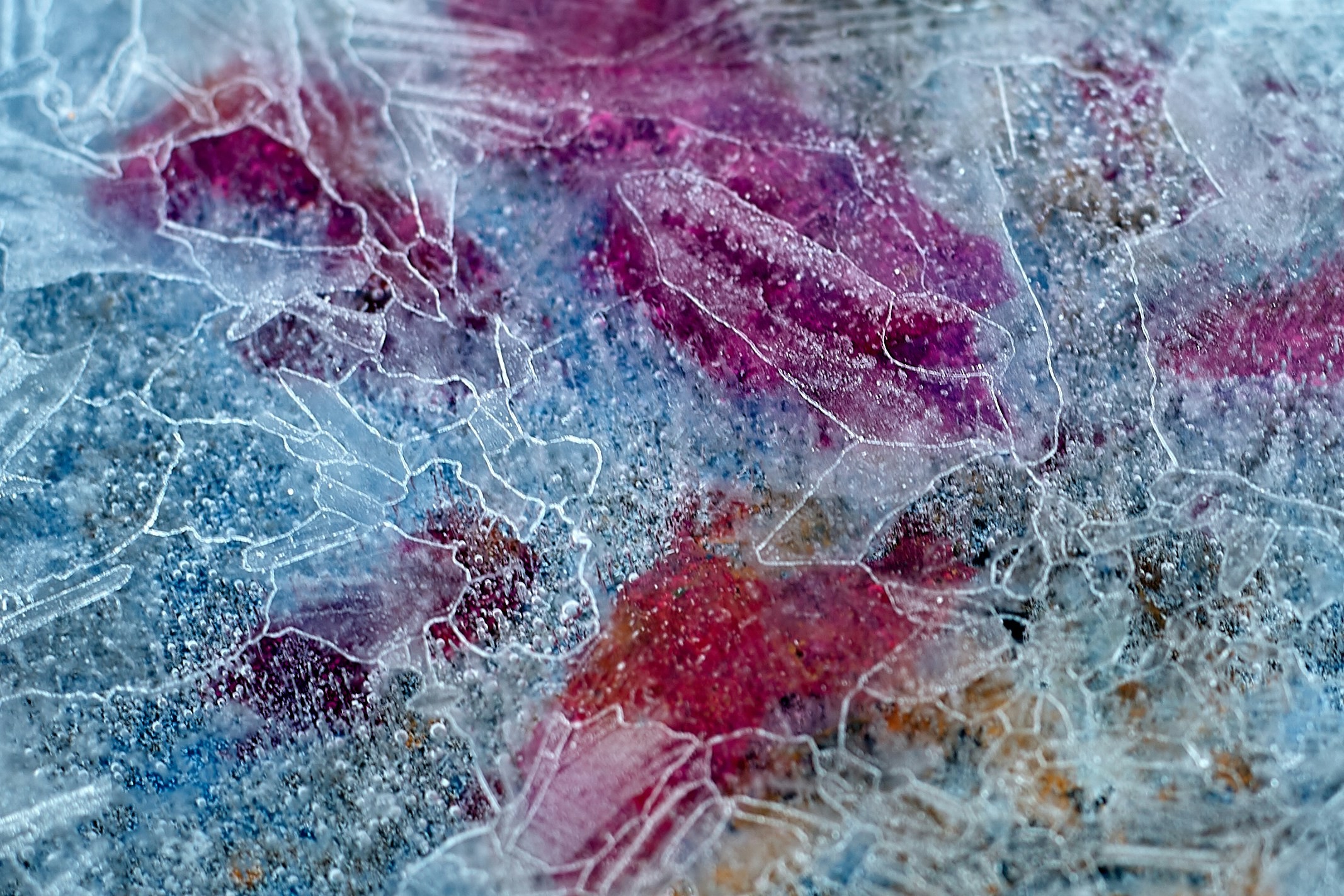 mold inspection