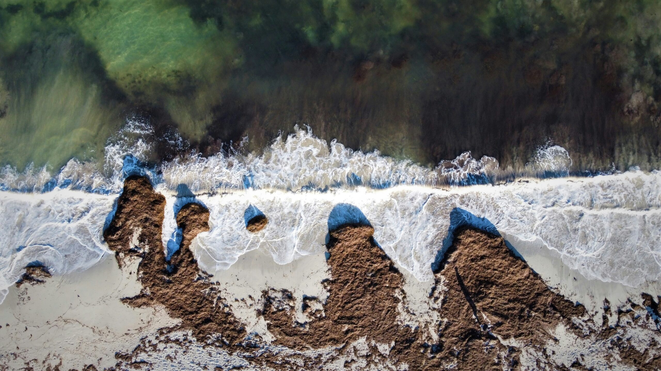 Photo of a flooded basement showing visible mold growth