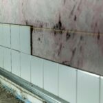 Structural Repairs Due to Mold