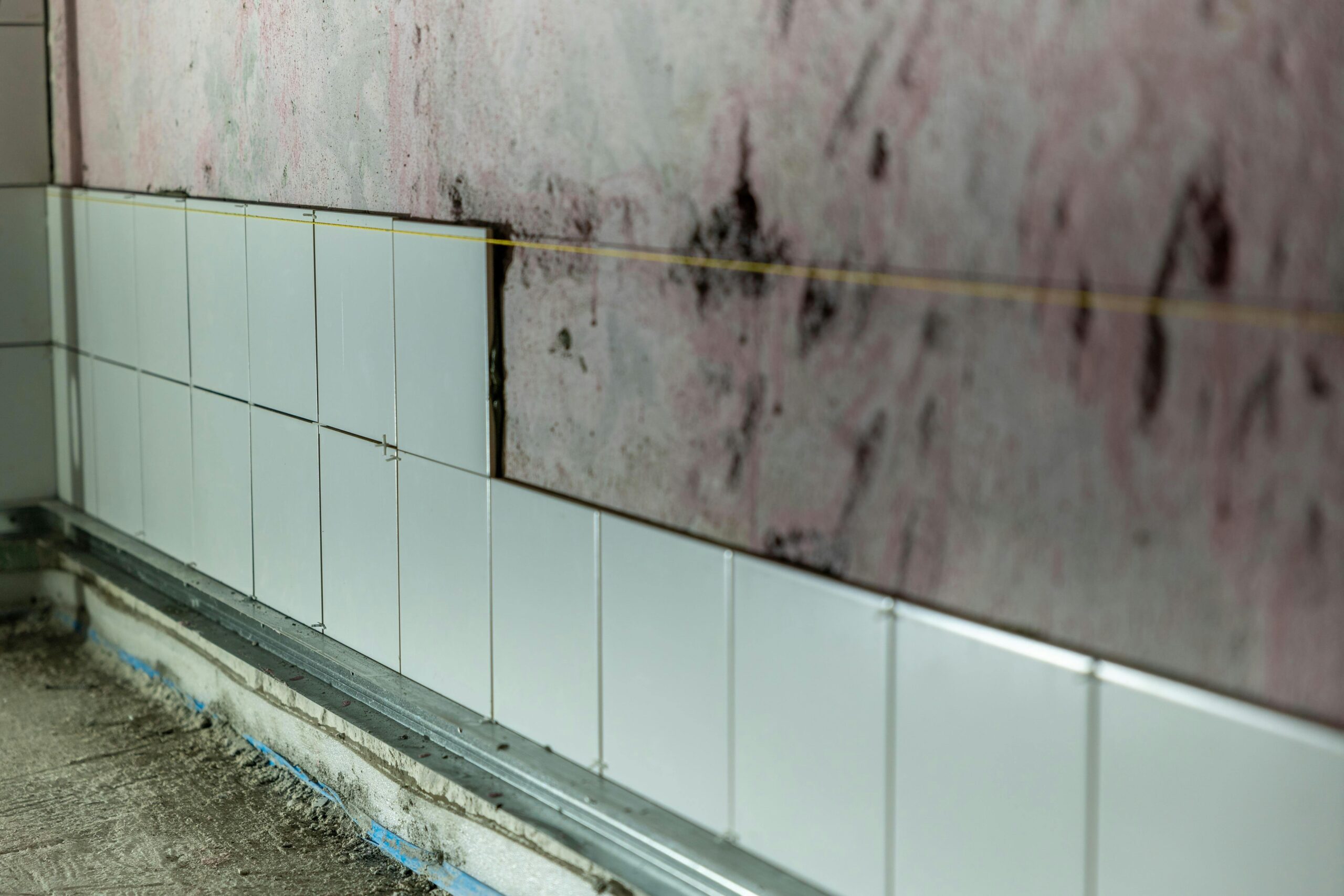 Structural Repairs Due to Mold